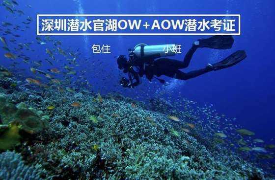 湖北民族大学赴鹤峰开展“百马行动”系列活动